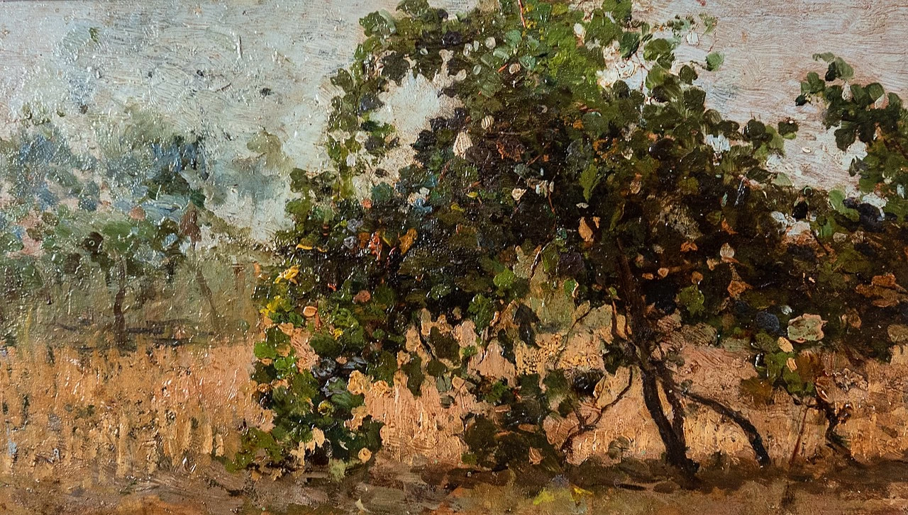 Albero nel campo